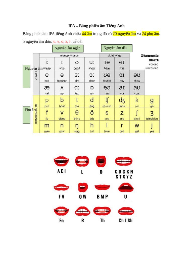 Bảng phiên âm IPA tiếng Anh chứa 44 âm trong đó có 20 nguyên âm và 24 ...