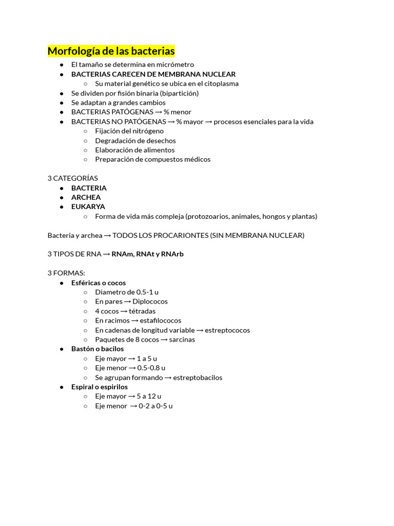 Morfología y Estructura de Bacterias | PDF | Membrana celular | Pared ...