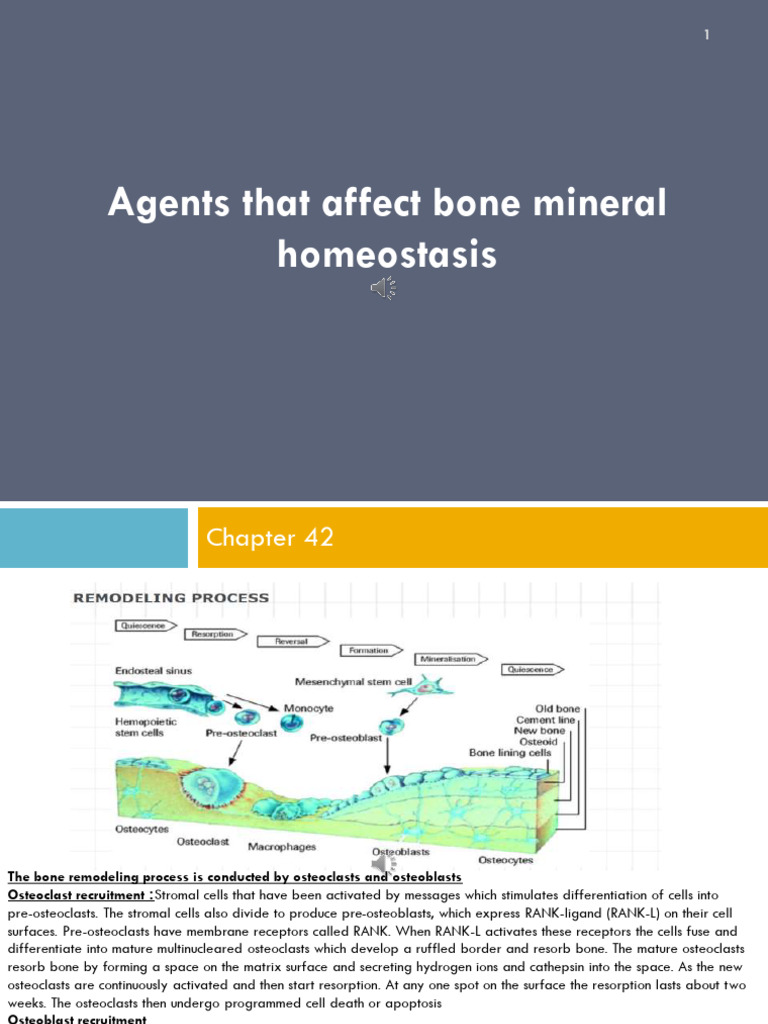 Topic#5 - Agent That Affect Bone Mineral Homeostasis | PDF | Bone ...