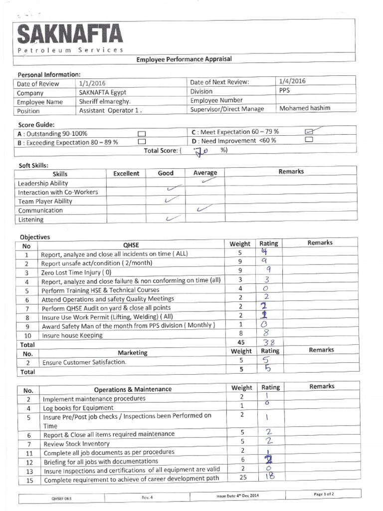 PERFORMANCE APPRAISAL GUIDELINES PDF visual data 5