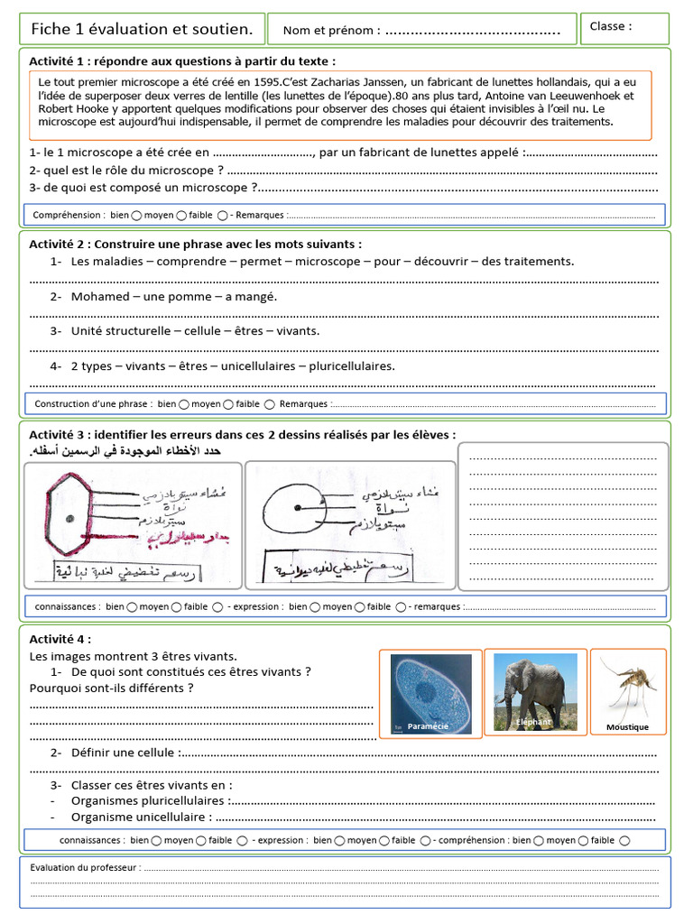 Évaluation sur le microscope et les cellules | PDF | Organismes ...