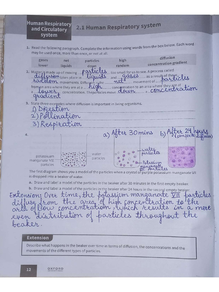 Science Chapter 2 All Units of Workbook | PDF