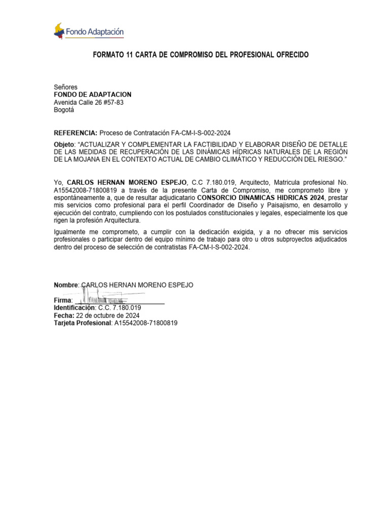 Formato 11 Carta de Compromiso Del Profesional Ofrecido | PDF