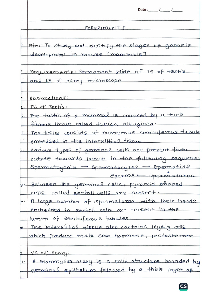 Bio Practical '24 | PDF