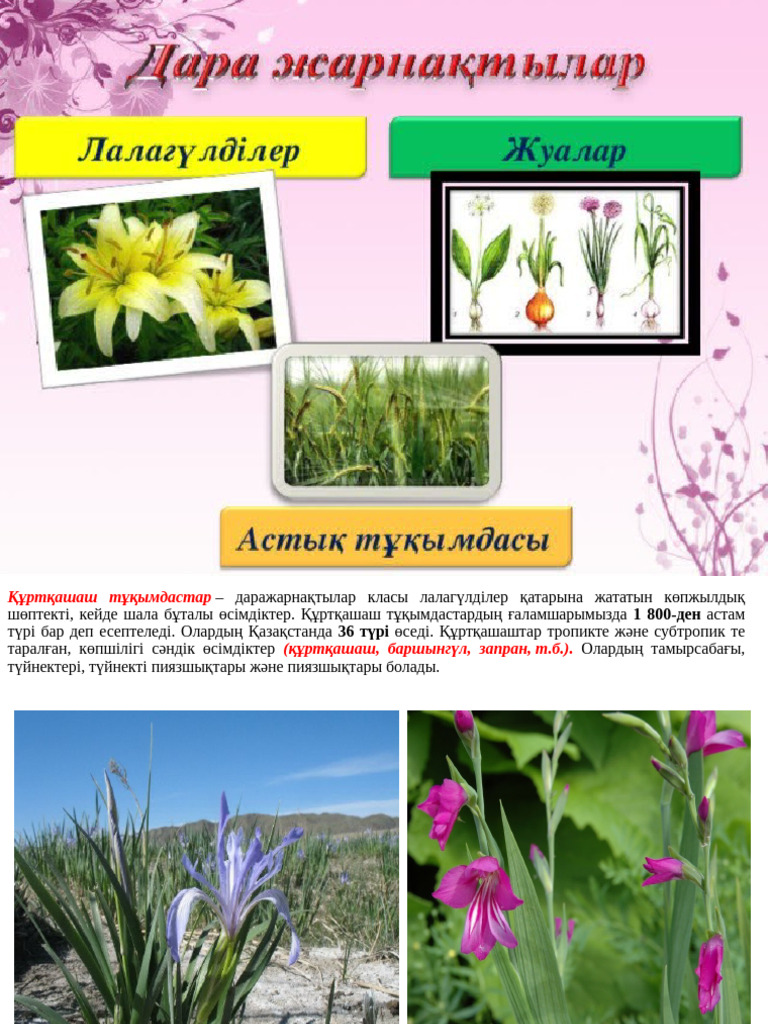 ВКонтакте желісіндегі Skype арқылы жыныстық қатынас