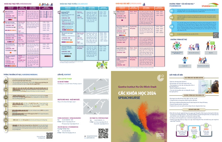 Flyer Goethe 20242024 | PDF
