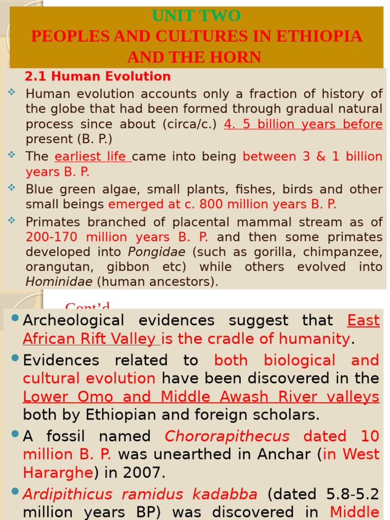 Human Evolution and Cultures in Ethiopia | PDF | Homo | Human Evolution