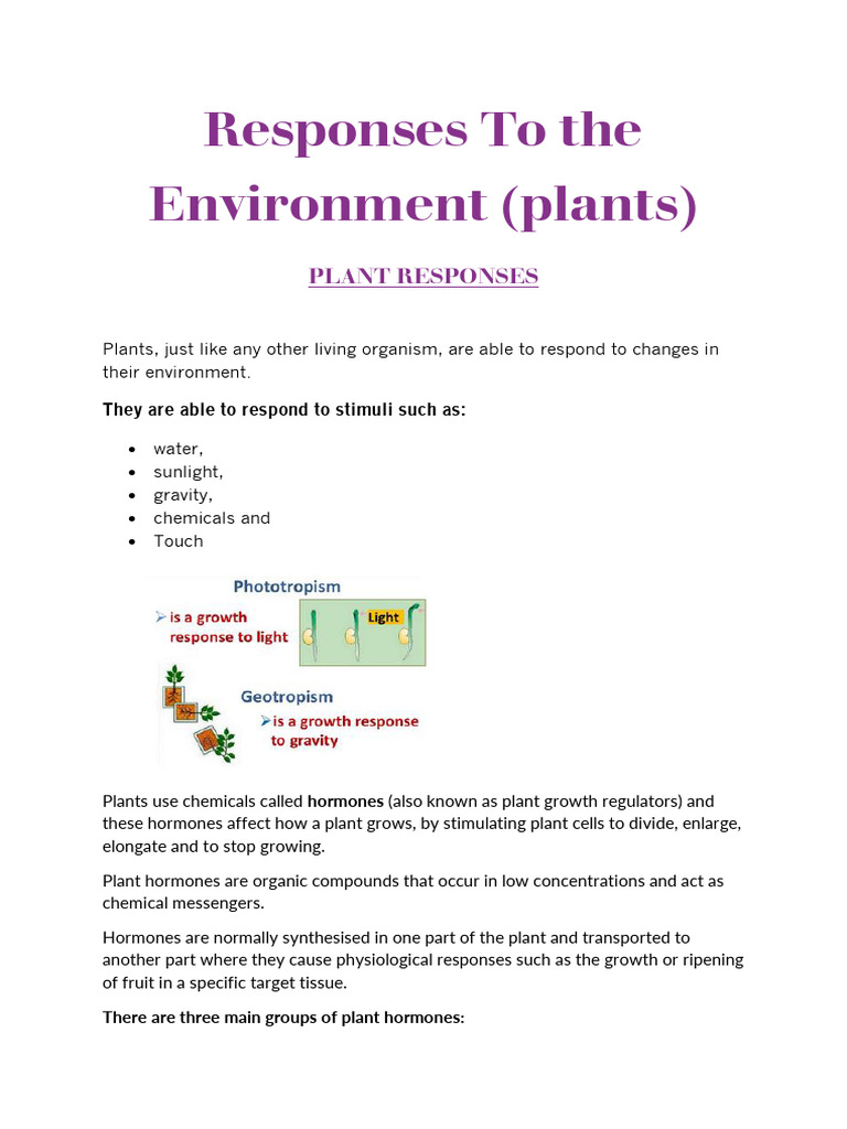 Responses To The Environment (Plants) | PDF | Auxin | Plant Hormone