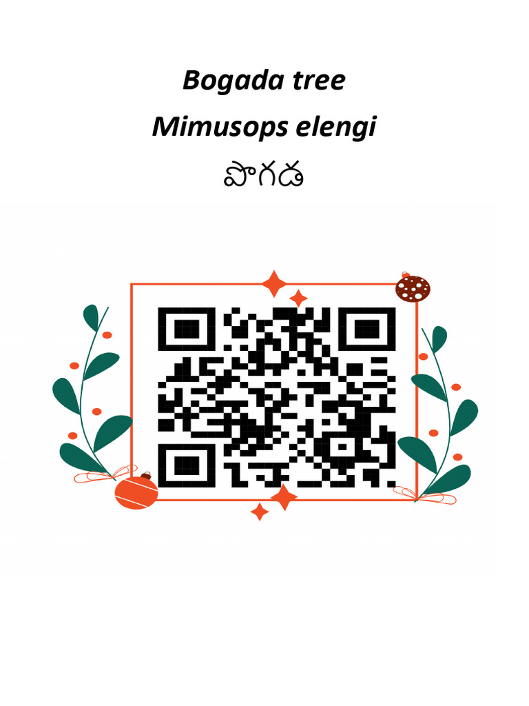 Bogada Plant | PDF