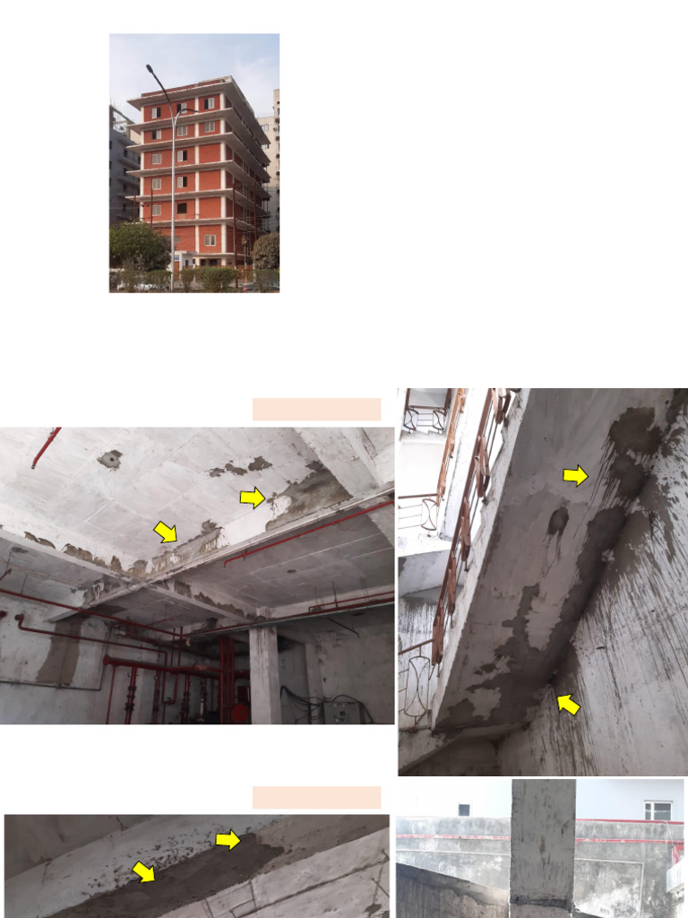 Noida Basement Visual Survey Report | PDF