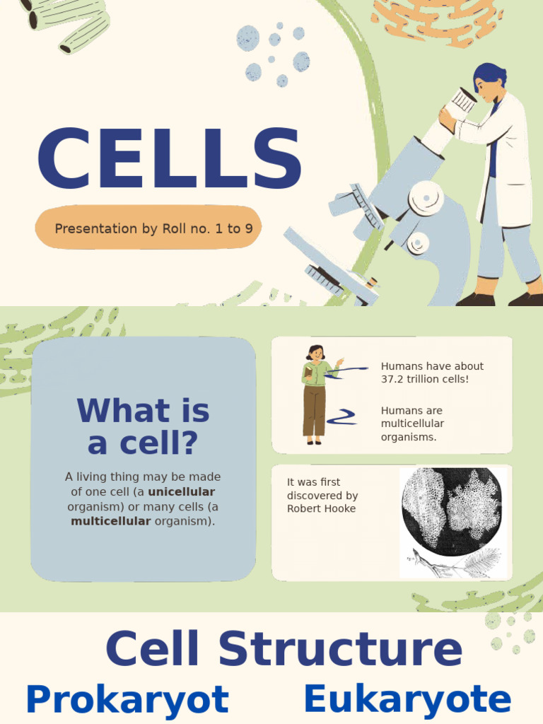 Understanding Cell Types in Dentistry | PDF | Bone | Human Tooth