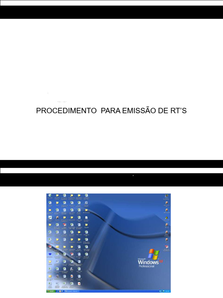 Passo A Passo Emissão de RT | PDF