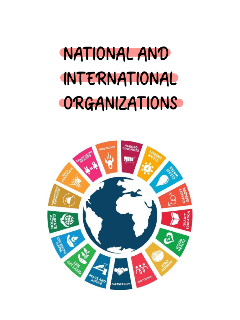 Overview of Major International Organizations | PDF | International ...