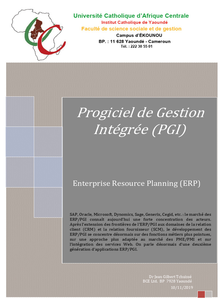 Évolution et enjeux des ERP/PGI en 2019 | PDF | Progiciel de gestion ...