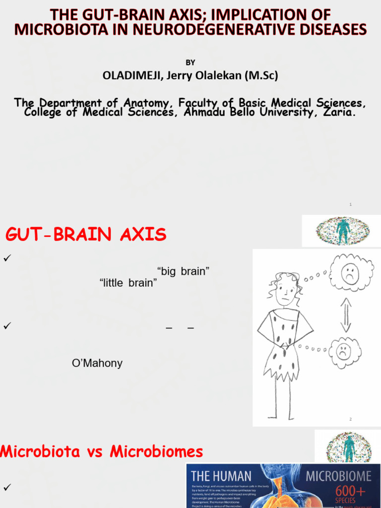 The Gut-Brain Axis Implication of Microbiota in Neurodegenerative ...