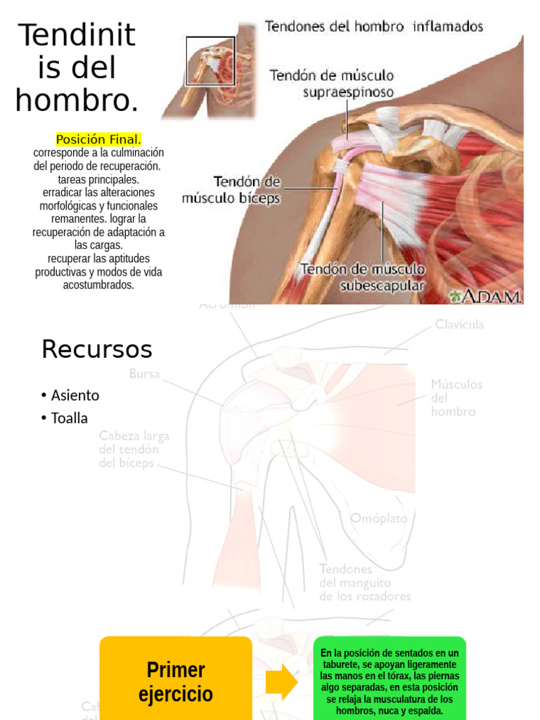 Tendinitis Del Hombro PDF