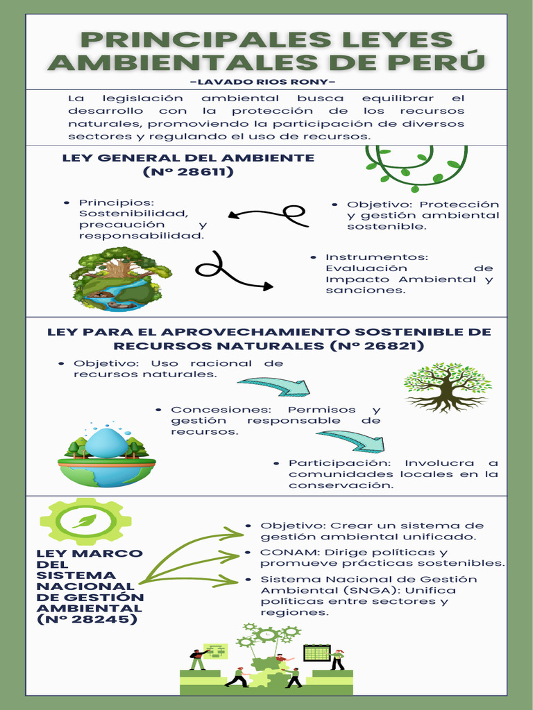Infografía - Lavado Rios Rony (12!11!2024) | PDF