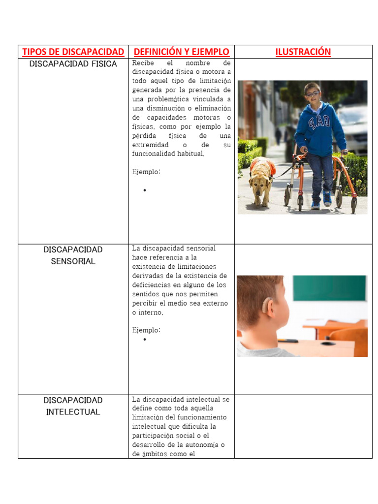 Tipos de Discapacidad | PDF | Discapacidad intelectual | Invalidez