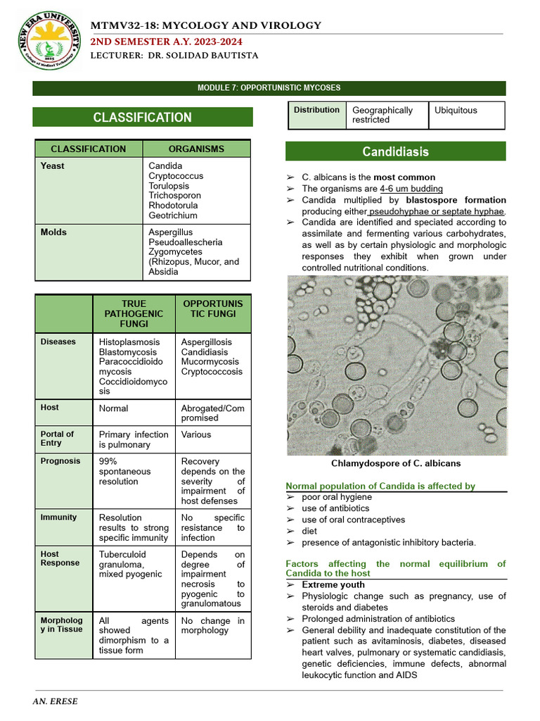 Opportunistic Mycoses Overview 2023 | PDF | Candidiasis | Candida (Fungus)