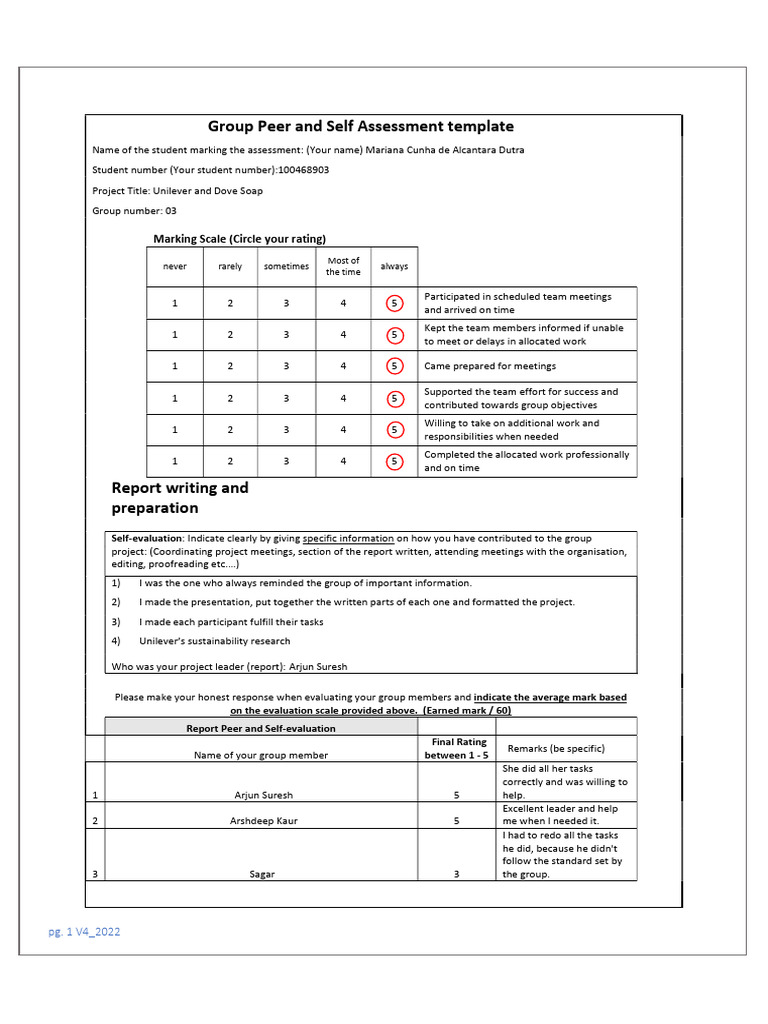 Group Peer and Self Assessment Template | PDF
