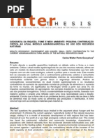 Geografia Da Riqueza Forme Meio Ambiente Carlos Walter