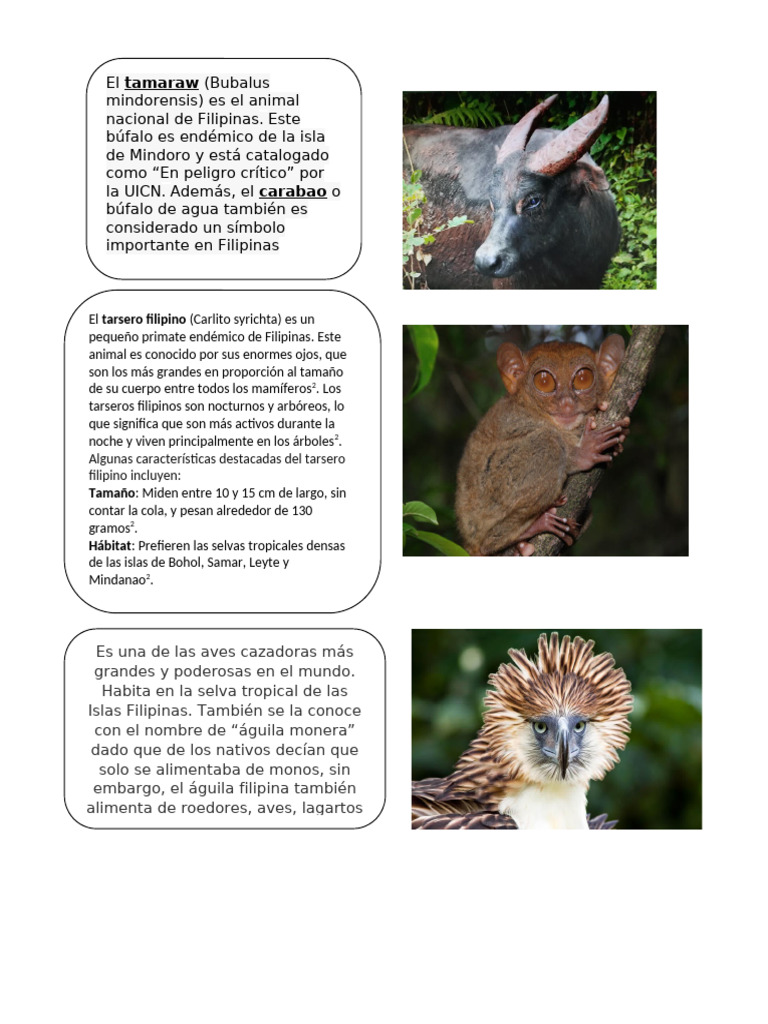 Fauna Filipinas | PDF