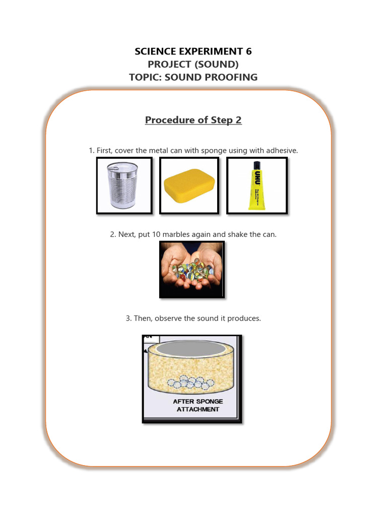 Science Experiment | PDF