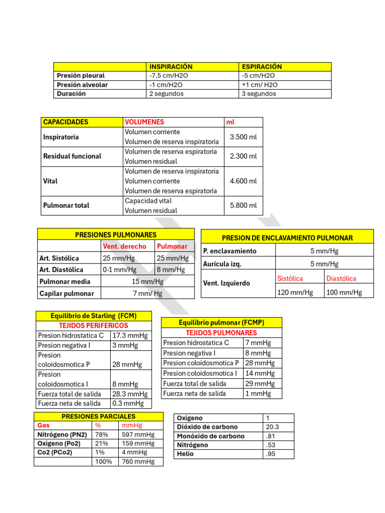 NEUMO | PDF | Pulmón | Fisiología