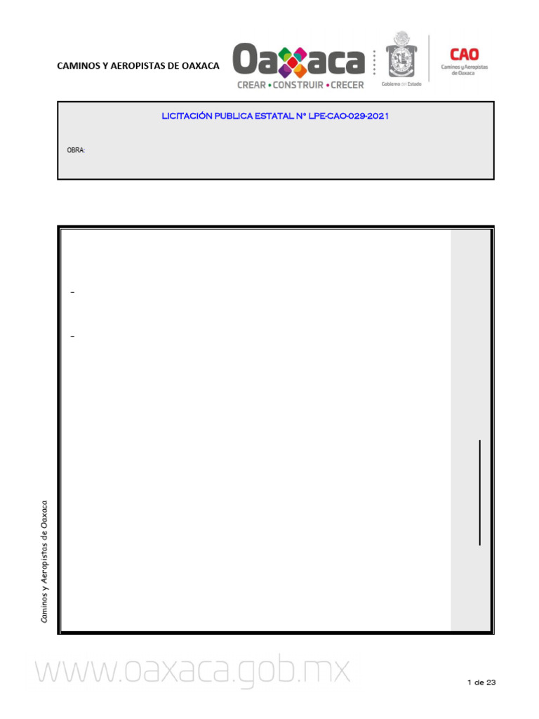 Basesdelicitacion Lpe Cao 029 2021 | PDF | Documento de identidad