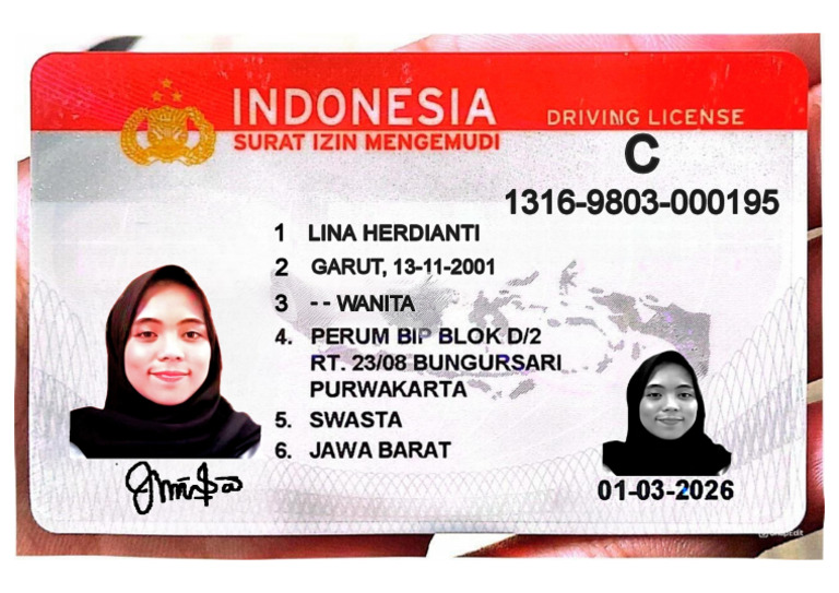Sim C | PDF