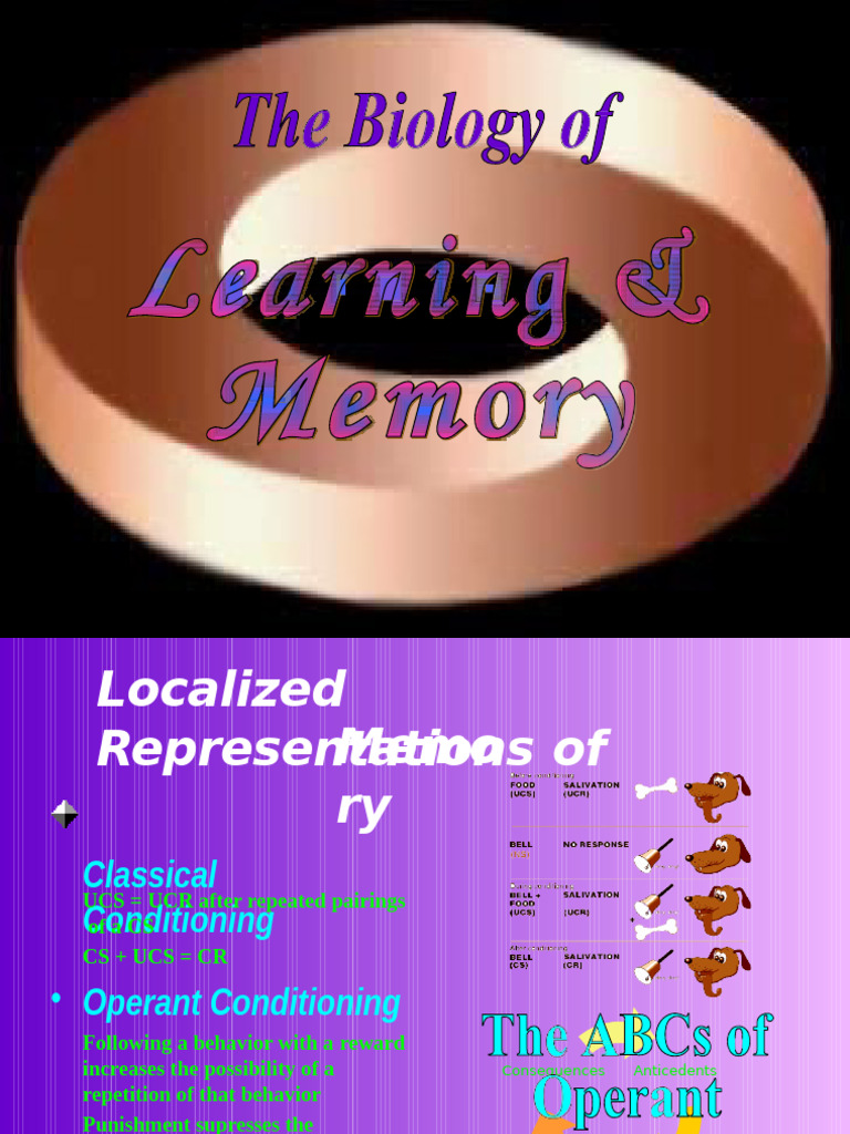 Memory and Learning Mechanisms Explained | PDF | Long Term Potentiation ...