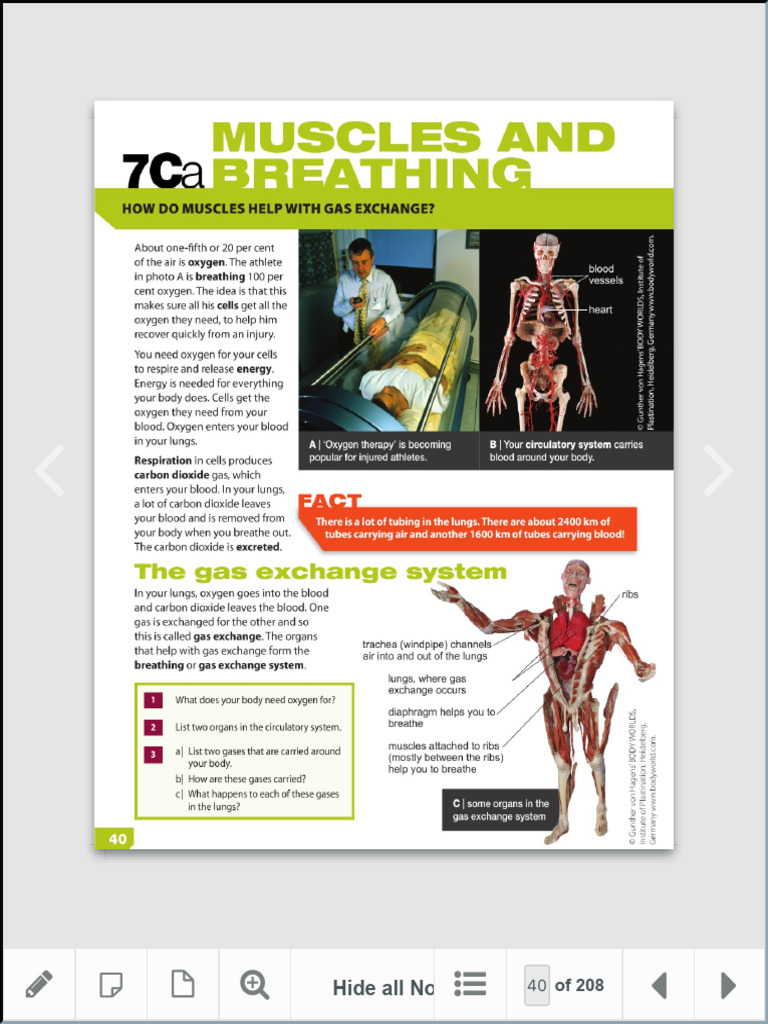 ESWS Year 7 ActiveBook ActiveLearn | PDF