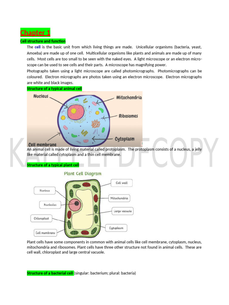 Cell Structure and Function Overview | PDF | Cell (Biology) | Vacuole