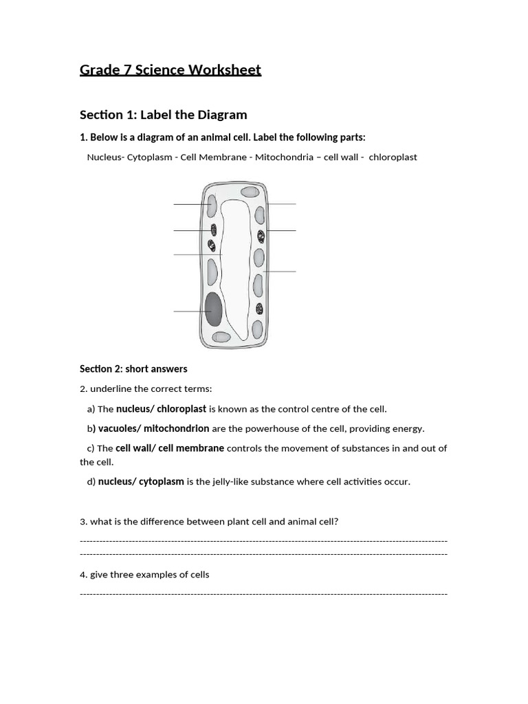 Grade 7 Science Cell & Atoms Worksheet | PDF | Science & Mathematics