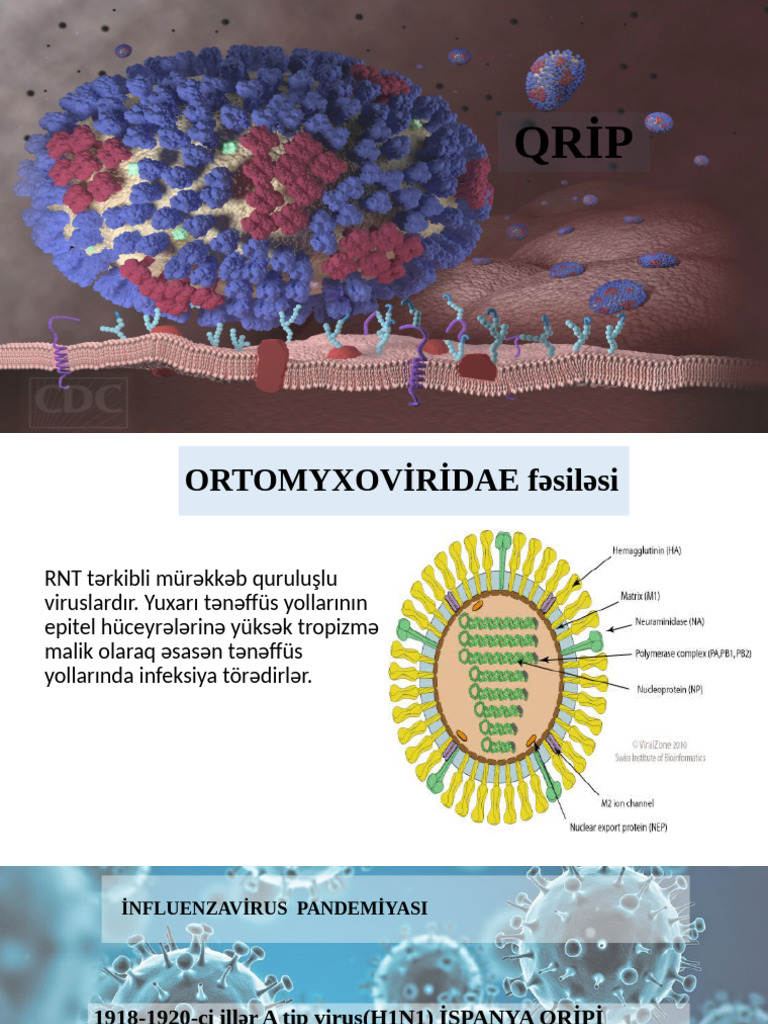 Qrip | PDF