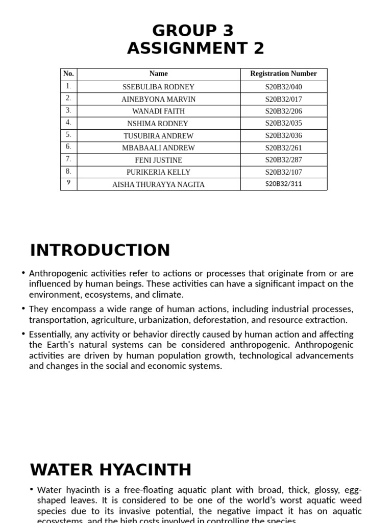 Group 3 Presentation | PDF | Water Pollution | Water