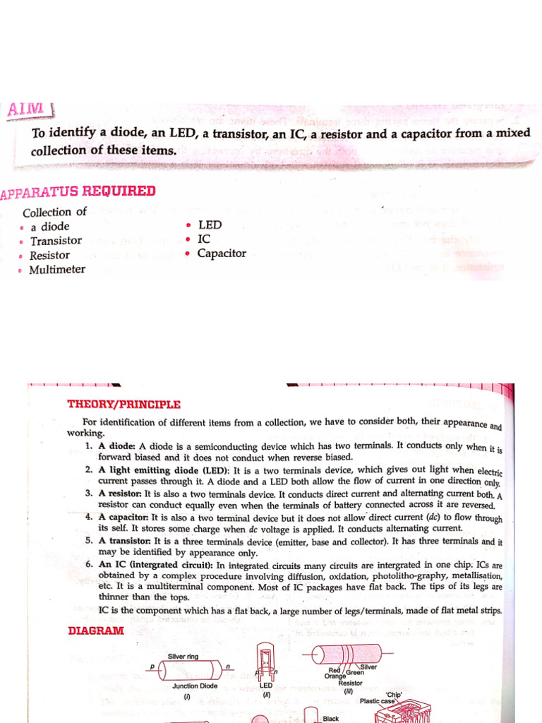 Activity 4 std12 | PDF
