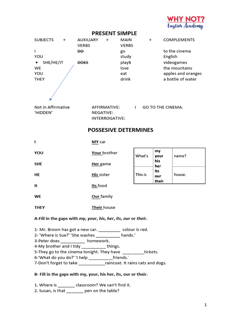 Present Simple Grammar Guide | PDF | Glasses | Linguistic Typology