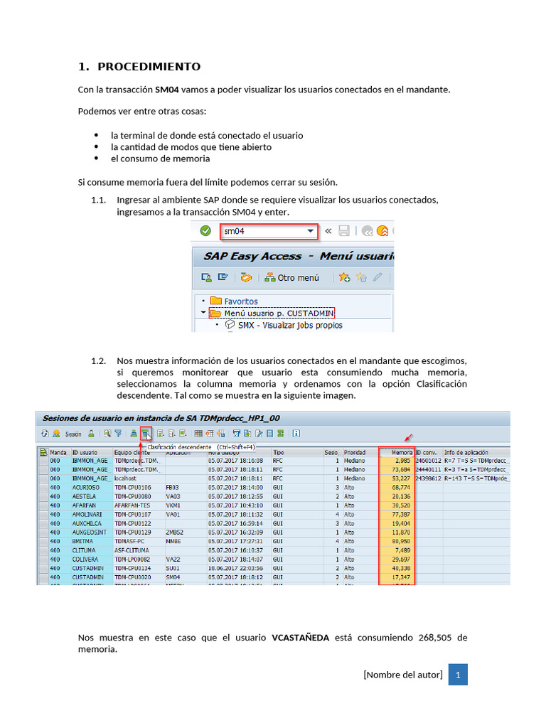 Monitoreo de Usuarios en SAP SM04 | PDF | Negocios | Informática