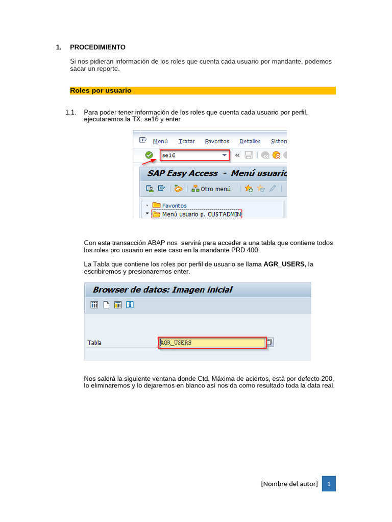 Reporte de Roles por Usuario en AGR_USERS | PDF