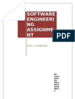 Software Engineeri NG Assignme NT: Unit 1 Overview