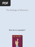 HM Case Study: Memory and Amnesia | PDF | Amnesia | Memory