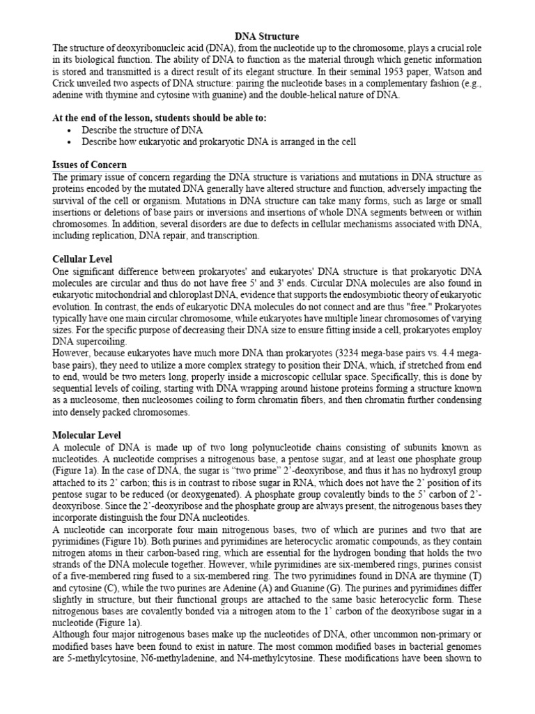 DNA - RNA Structure, Replication and Protein Synthesis2 - 014640 | PDF ...