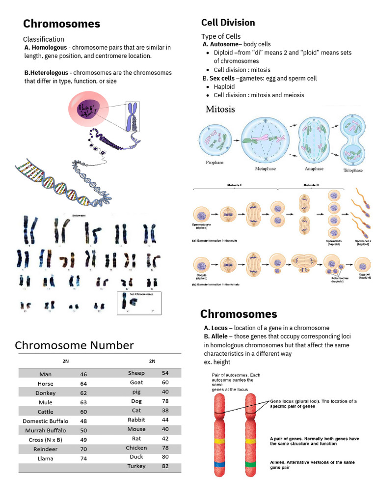 Genetic And Breeding Pdf Genotype Inbreeding