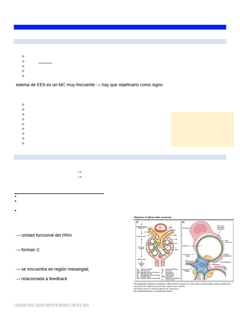 Semiología II - S2 | PDF | Hombro | Especialidades Medicas
