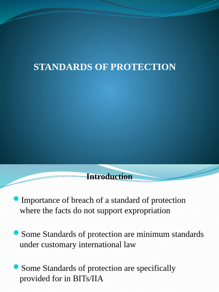Standards of Protection in International Law | PDF | International Law ...