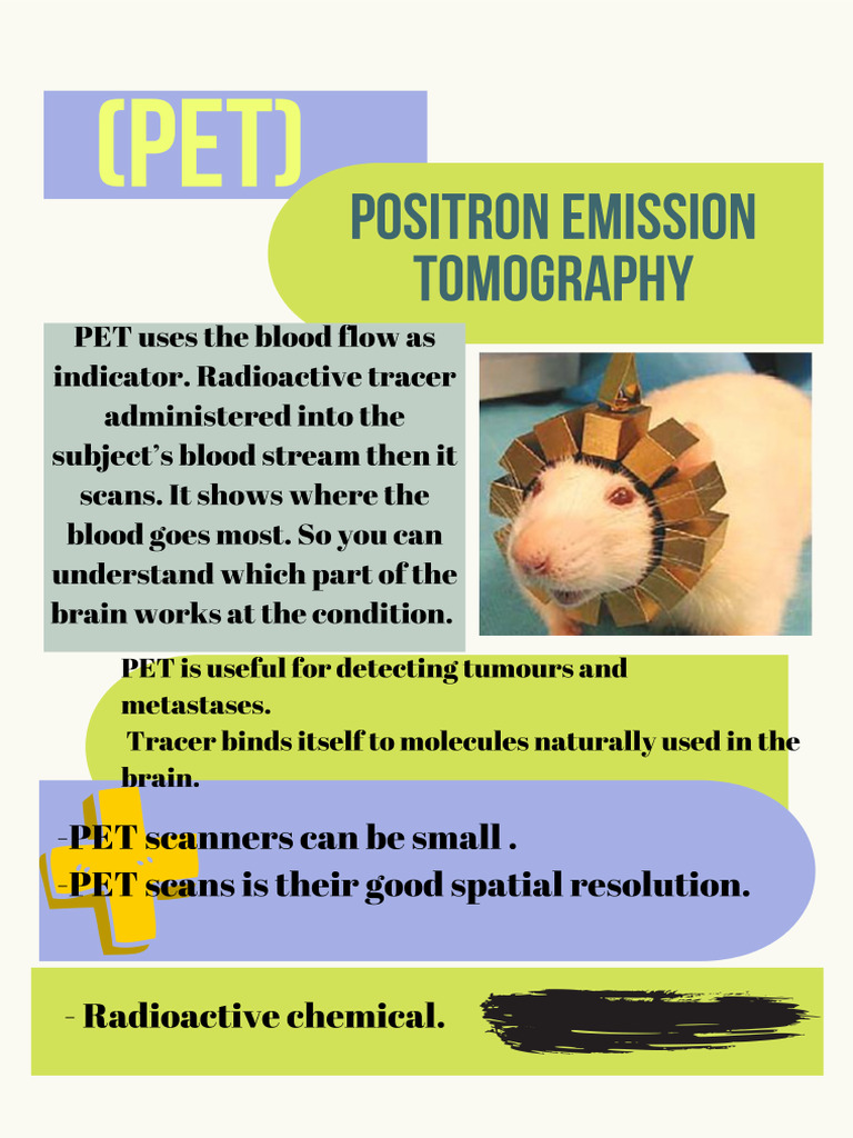 PET | PDF