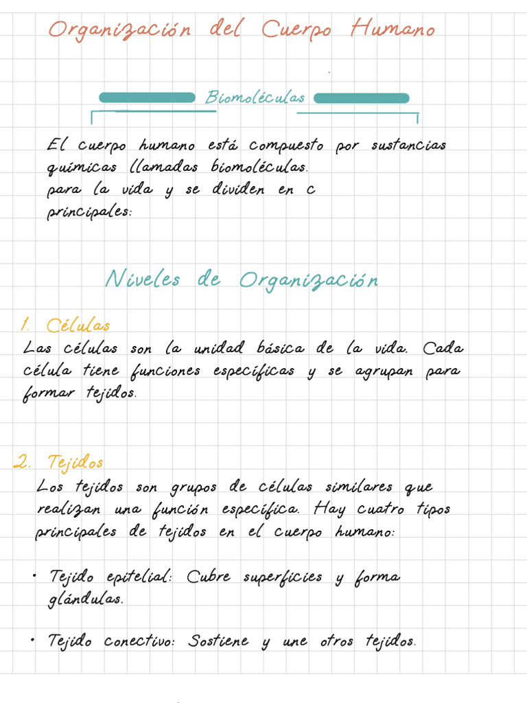 Mapa Mental 1 | PDF
