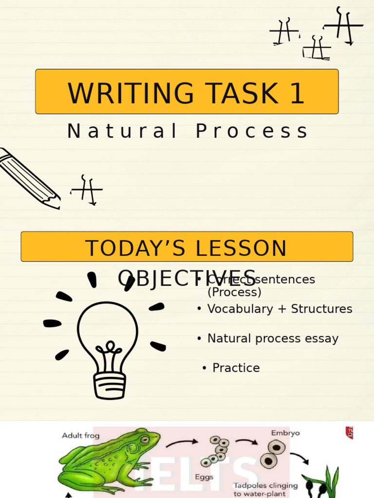 Writing Task 1 | PDF | Foreign Language Studies | Self-Improvement