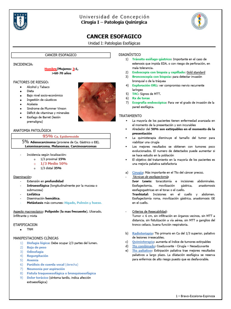 Cancer Esofagico | PDF | Cáncer de esófago | Cáncer